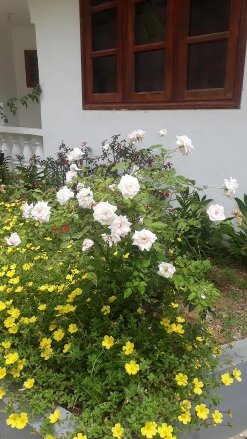 Ogumka, Self Catering , Beoliere, Mahe Hotel Victoria Eksteriør billede