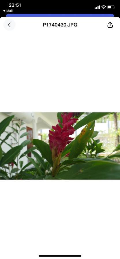Ogumka, Self Catering , Beoliere, Mahe Hotel Victoria Eksteriør billede